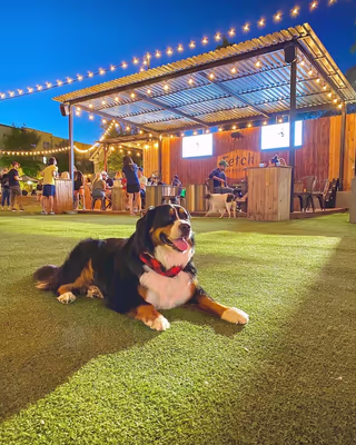 Fetch Park Buckhead